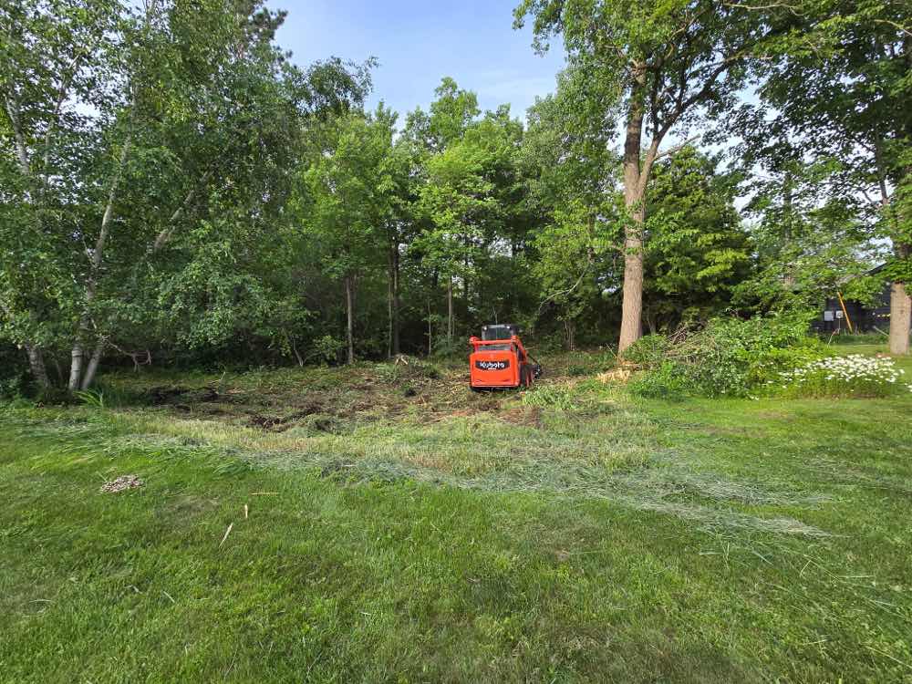 Cleared and mulched lot near Pine City, Minnesota after forestry mulching