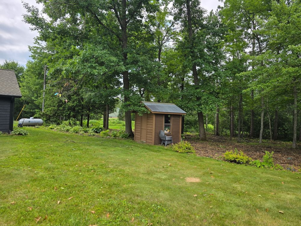 The same backyard after brush clearing, with the shed and wooded edge opened up and cleaned