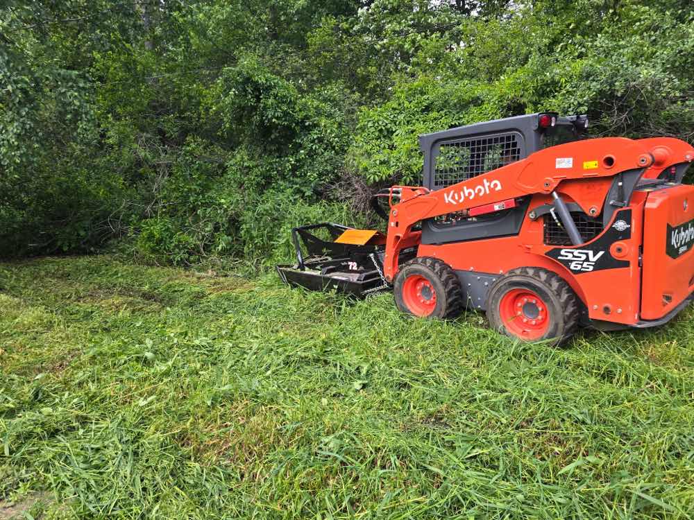 Overgrown brush and saplings before clearing, with skid steer and brush cutter starting the job